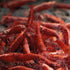 Swimming (20, Creatures Premium Neocaridina Shrimp Freshwater Aquarium Shrimp Premium FIRE RED)