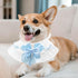 ANNUOZE 3 PCS Chiffon Cat Bibs with Bows, Sweet Lace Ruffle Dog Bib Collars, Cute Kitten Bandana Scarf, Pet Accessories