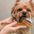 Oumefar Healthy Bamboo Dog Hair Comb, Wooden Brush Massage Grooming Slicker Brush with Rounded Bristles (Charged)