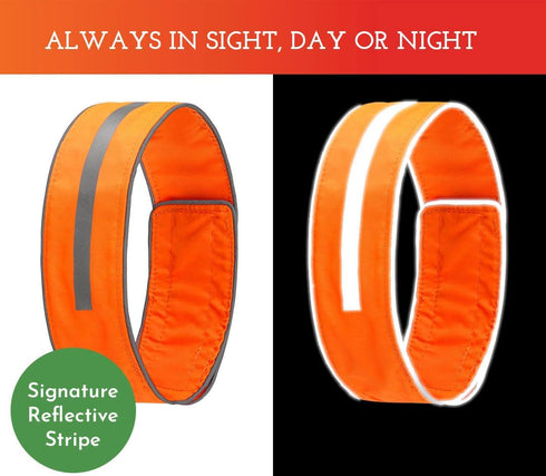 SPOT THE DOG! Reflective Dog Collar - Adjustable, Safe, Durable, Comfortable for Small Dogs, Hunting Dogs, Puppies