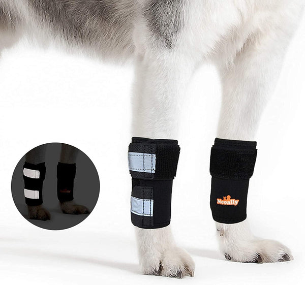 Pair of NeoAlly Dog Front Leg Braces, Canine Carpal Support with Safety Reflective Straps for Front Hock, L/XL Pair