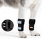 Pair of NeoAlly Dog Front Leg Braces, Canine Carpal Support with Safety Reflective Straps for Front Hock, L/XL Pair