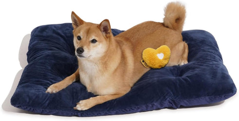 2 1 Mattress,35.4" 22.8", FUNNY FUZZY in Dog Bed Crate Pad Mat, Washable Reversible Pet Floor Mats,Fluffy Kennel Pad