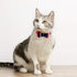 EXPAWLORER Dog Collar and Leash Set, Classic Plaid Dog Bow Tie and Bandana Collar with Bell, Adjustable for Dogs