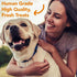 Marcy's Pet Kitchen - All Natural Crunchy Pumpkin Biscuit Dog Treats - Vegan, Gluten Free, Healthy Treats