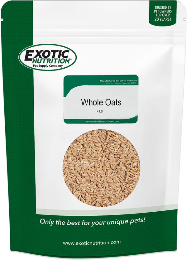 Exotic Nutrition Whole Oats 4 lb. - Healthy Supplemental Food - Natural