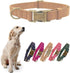 THAIN Soft Leather Dog Collar, Heavy Duty Padded Quick Release Adjustable Collar for Small Medium Dogs (M, Pink)