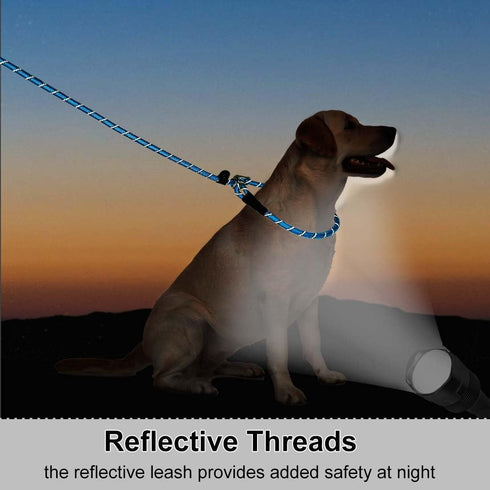 Anti-Choke Long Training Lead - 12FT / 20FT, 3/8" Thick Slip Lead Rope Leash for Medium Large Dogs with Comfortable