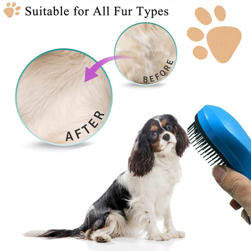 Small Dog Brush, Soft Pet Grooming Brush for Shih Tzus, Yorkies, Maltipoos, Maltese, Puppy Massaging Hair Brush, Cat