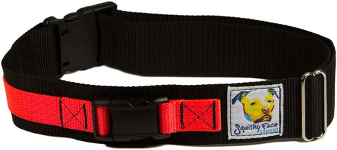 Hands-Free Dog Leash Belt, Small-Medium, Neon Orange