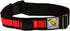 Hands-Free Dog Leash Belt, Small-Medium, Neon Orange