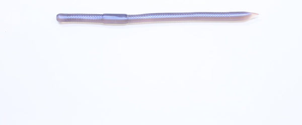 Zoom Bait Zoom Swamp Crawler-Pack of 25