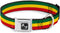 Buckle-Down Rasta Dog Collar - 1" Wide - Fits 15-26" Neck - Large Seatbelt Buckle