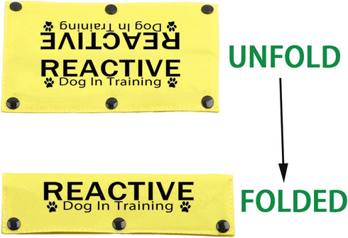 JXGZSO Training Ignore Do Not Stare Reactive Dog Leash Sleeve Dot Not Pet Training Dog Leash Sleeve Service Dog Leash Wrap (Reactive D in Train DLS)