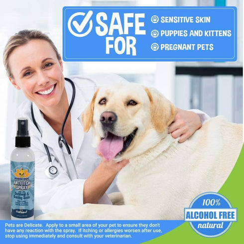 Bodhi Dog Itch Relief Spray, Natural Relief for Dry, Itchy, Allergic Skin, Safe for Dogs & Cats, Soothing Oatmeal