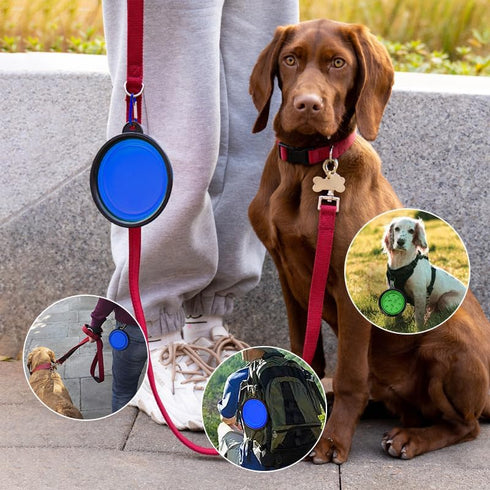Portable Pet Travel Dog Bowls, 2 Pack Convenient Collapsible Bowls for Dogs and Cats with Carabiners