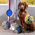Portable Pet Travel Dog Bowls, 2 Pack Convenient Collapsible Bowls for Dogs and Cats with Carabiners