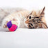 3Pcs Cat Toy Sisal Ball, Eco-Friendly Interactive Chew Toy for Pets (Random Color)
