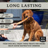 K9 8 10 Inch 50 16 Pack Connoisseur Beef Marrow Rib Dog Bones Long Lasting to Long - USA Made Single Ingredient