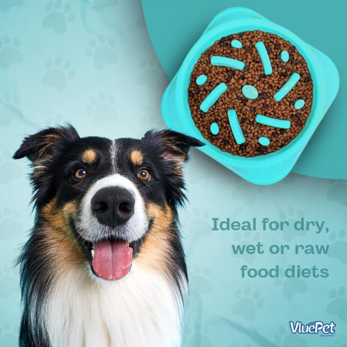 Non-Slip Slow Feeder Dog Bowl, Anti-Choke Design for Healthier Eating Habits
