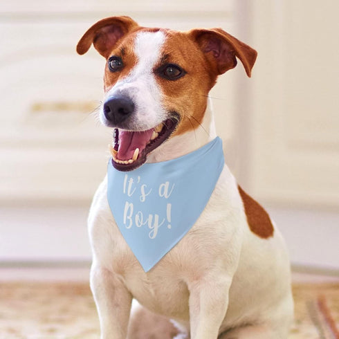Customizable Triangle Pet Bandana for Dogs and Cats - Fun Birthday Gift