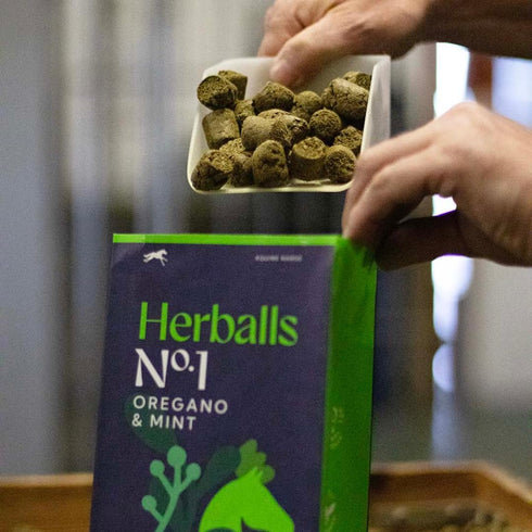Hilton Herbs 1.1 lb Herballs All Natural Horse Treat with Oregano and Mint