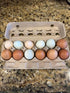 Generic 10+ Premium Fresh & Fertile Chicken Hatching Eggs Rainbow Assortment Mix, Tater's Farm NPIP Certified