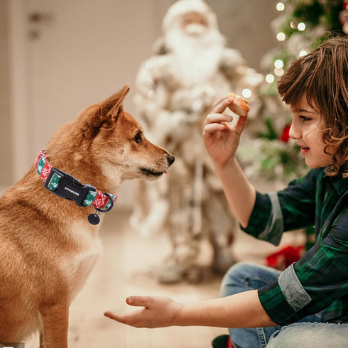 DOGWONG Christmas Cotton Dog Collar, Red Green Stripe Durable Soft Fabric Collar for Small Medium Large Dogs