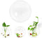 2PCS Wall Hanging Plant Terrarium, Wall Mounted Fish Bowl Tank, Acrylic Globe Flower Vase Planter