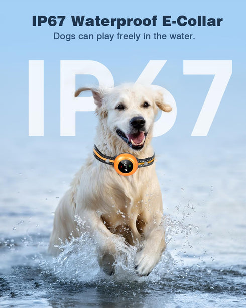 2-in-1 Smart Dog Shock Collar & Bark Collar with 3300FT Remote, IP67 Waterproof (Orange)