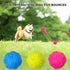 Dog Squeaky Balls - Squeaky Toy Balls for Small Medium Large Dogs, 3 Pcs