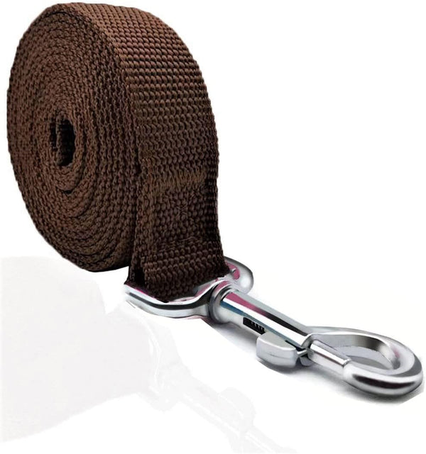 Strong Dog Leash 4FT/5FT/6FT, Nylon for Small Medium Large Dogs, Brown, 1 in x 10 ft