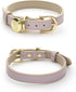 Milan Vegan Leather Dog Collar - Padded Luxury Adjustable Buckle Collar for Small to Large Dogs - Color Lilac, Size