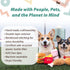 P.L.A.Y. Cute Plush Dog Toys - Fast Food Themed Durable Giggle Chew Toy, Great for Puppies & Small, Medium, Large Dog