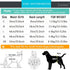 Zunea Washable Female Small Dog Diapers for XS/S Size Dogs Adjustable Suspender Reusable Puppy Sanitary Diaper Pantie