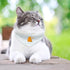 2 PCS Dog Bandana with Adjustable Buckle, Double-Sided Blank Dog Bandanas with D-Ring for Small Dogs and Cats