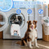 imiBBWQu Set Summer Summer 27" 22" Dog Cooling Mat Cute Cats Blue Orange Dog Cooling Mat Washable Pet Pads for Dogs Pet