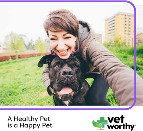 60ct Vet Worthy Chewable Toothpaste - Dog Teeth Cleaning Chews with Propolis & Zeolites - Toothpaste for Dogs - Tartar