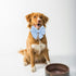 Adjustable Pet Bow Tie and Dog Collar for Small Medium Large Dogs, Cute Lady Bow and Dog Collars, Blue Polka Dots, Large