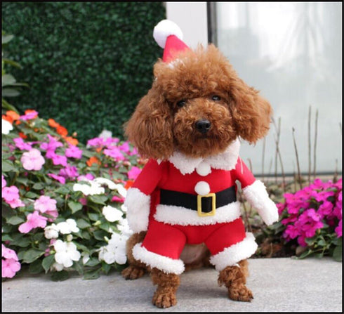 NACOCO Pet Christmas Costumes Dog Suit with Cap, Santa Claus Suit for Dogs and Cats (Red, XL)
