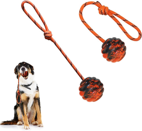 2Pcs Dog Training Ball on Rope, Exercise and Reward Toy for Chew Training, Tug Toy for Dogs