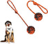 2Pcs Dog Training Ball on Rope, Exercise and Reward Toy for Chew Training, Tug Toy for Dogs