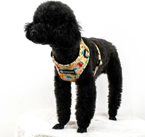 Dog Harness and Leash Set, Adjustable No Pull No Choke Puppy Harnesses for Walking Training