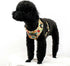 Dog Harness and Leash Set, Adjustable No Pull No Choke Puppy Harnesses for Walking Training
