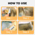 2 Pack Multifunctional Pet Comb, Upgrade Pet Grooming Brush Fine Magic Tear Stain Removal, Fine-Tooth Stainless Massage