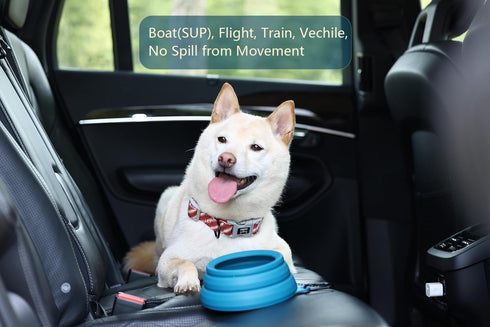 OHMO-Collapsible Dog Water Bowl, Anti Tip Over No Spill from Car Movement, 24oz Medium, Peacock Blue