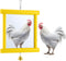 Sadnyy Chicken Mirror Toys Extra Large 10.6 x 10 Inch Big Hanging