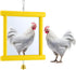 Sadnyy Chicken Mirror Toys Extra Large 10.6 x 10 Inch Big Hanging