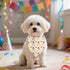 Adjustable Birthday Dog Bandanas - Double-Sided Triangle Scarves for Pets