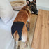 XXL Washable Dog Diapers for Female Dogs - Breathable Mesh in Beige & Gray